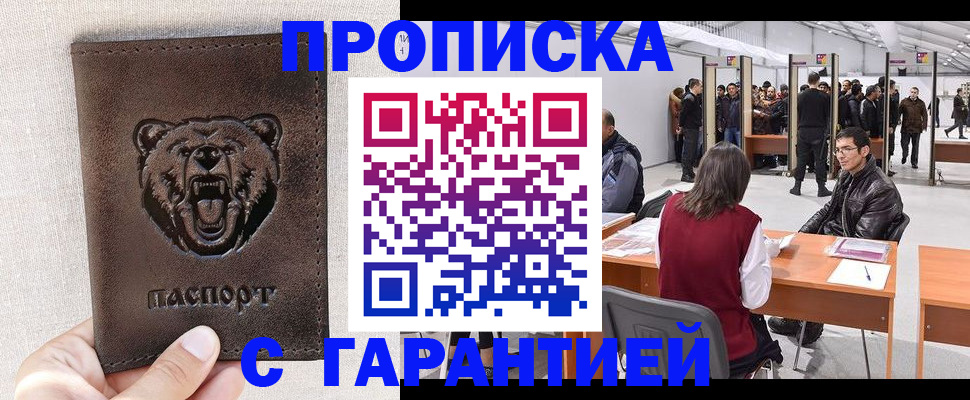 временная регистрация поиск в Змеиногорске